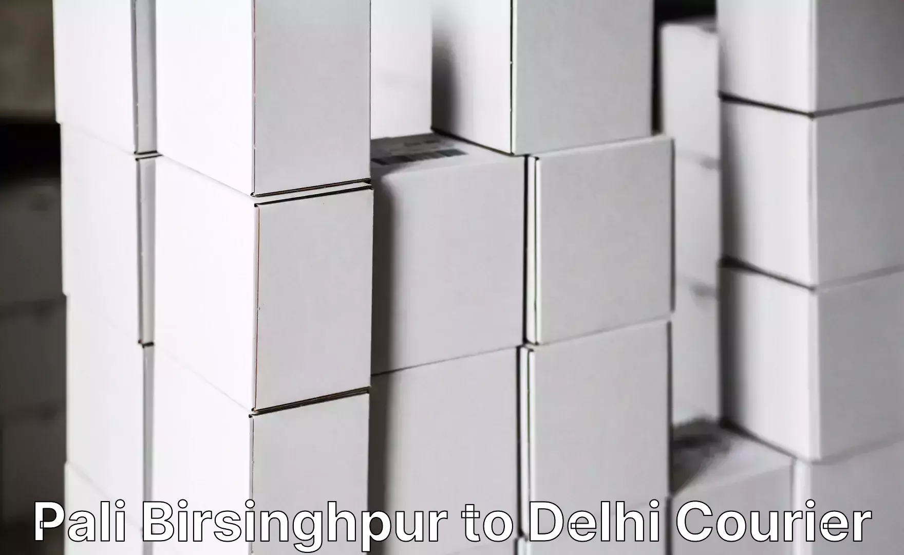 Trackable baggage shipping Pali Birsinghpur to Jawaharlal Nehru University New Delhi