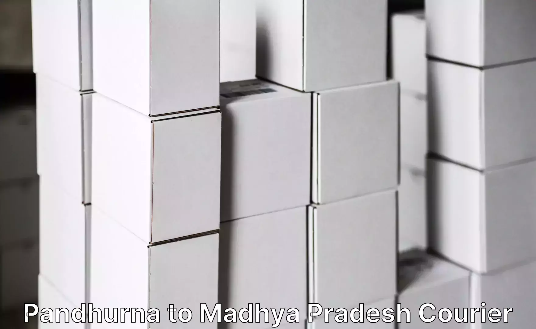 Efficient luggage delivery Pandhurna to Madhya Pradesh