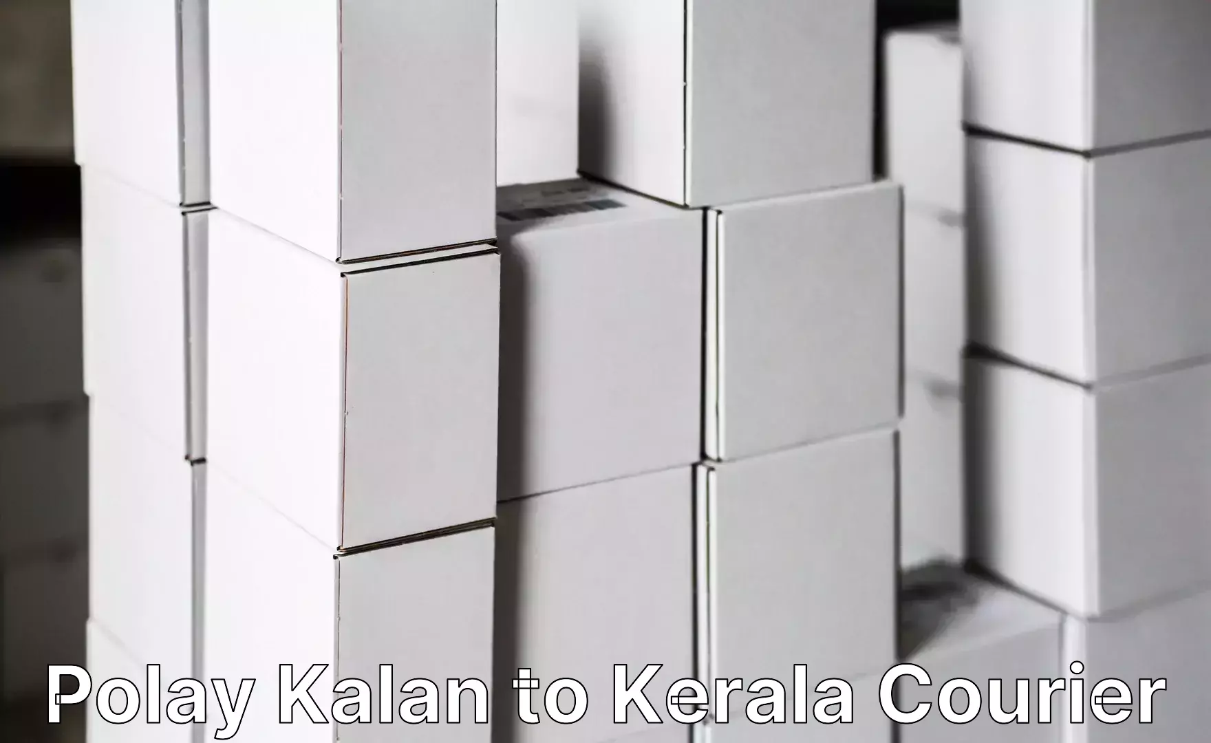 Single item baggage courier Polay Kalan to Kerala