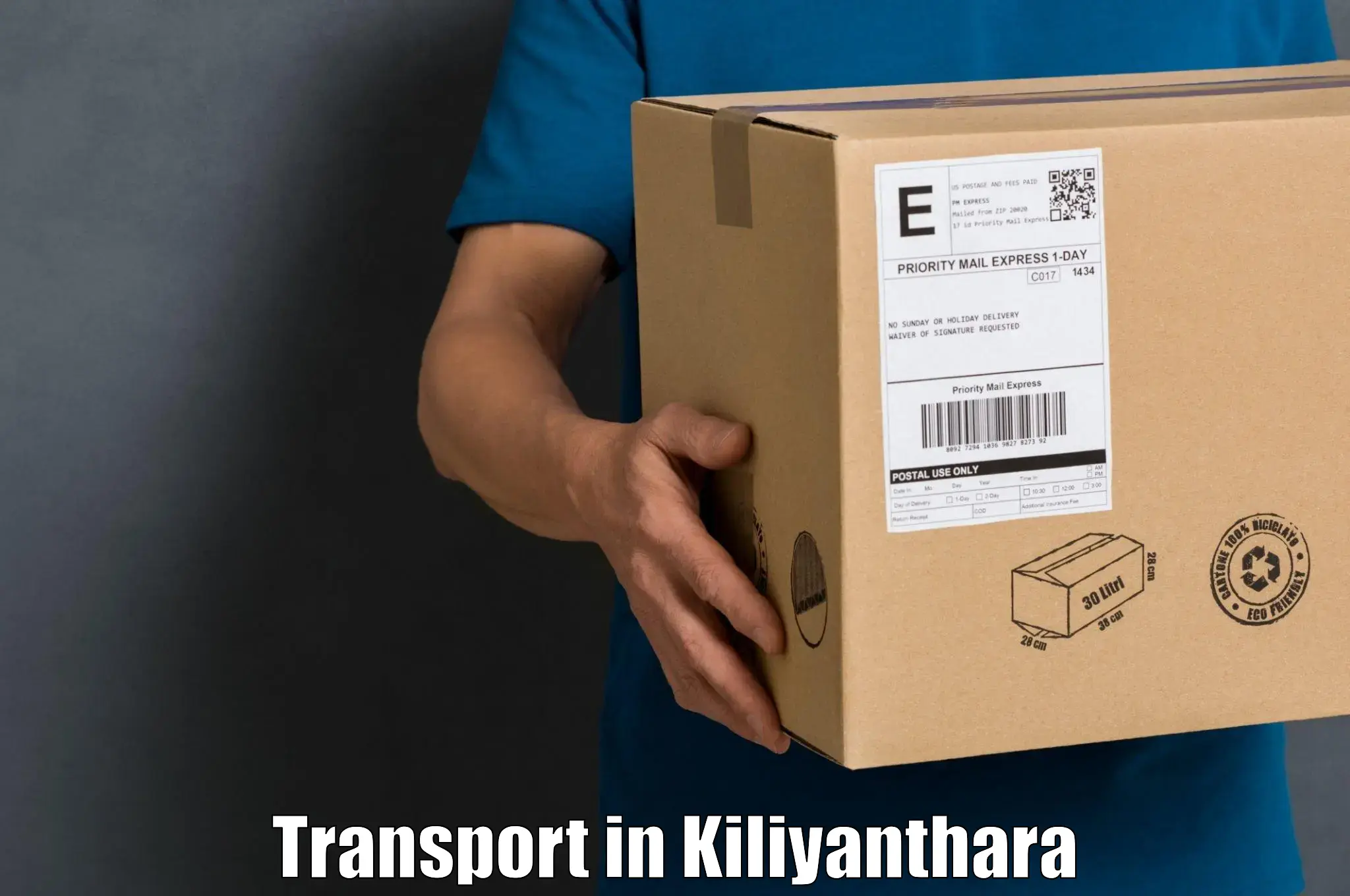 International cargo transportation services in Kiliyanthara