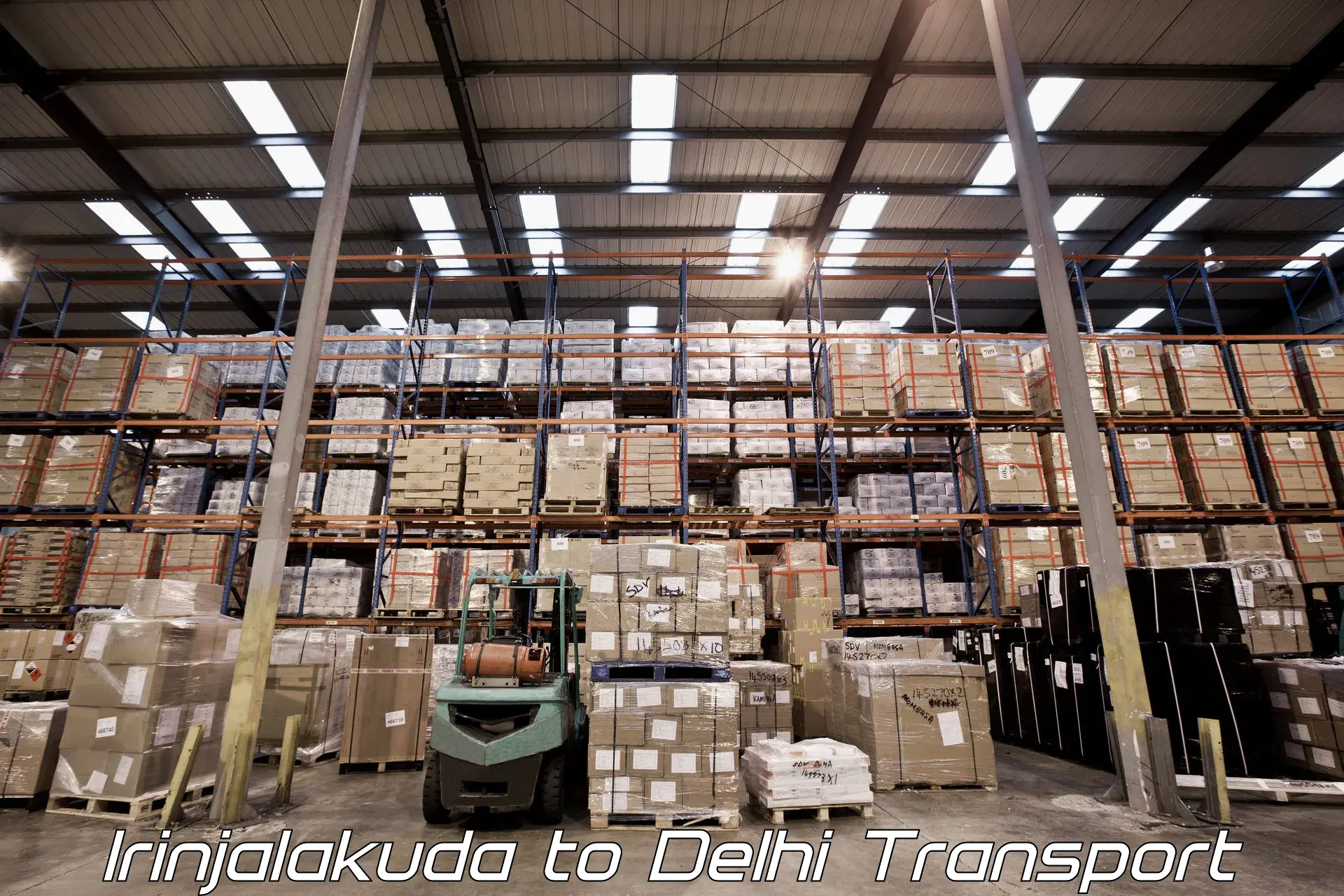 International cargo transportation services Irinjalakuda to Indraprastha