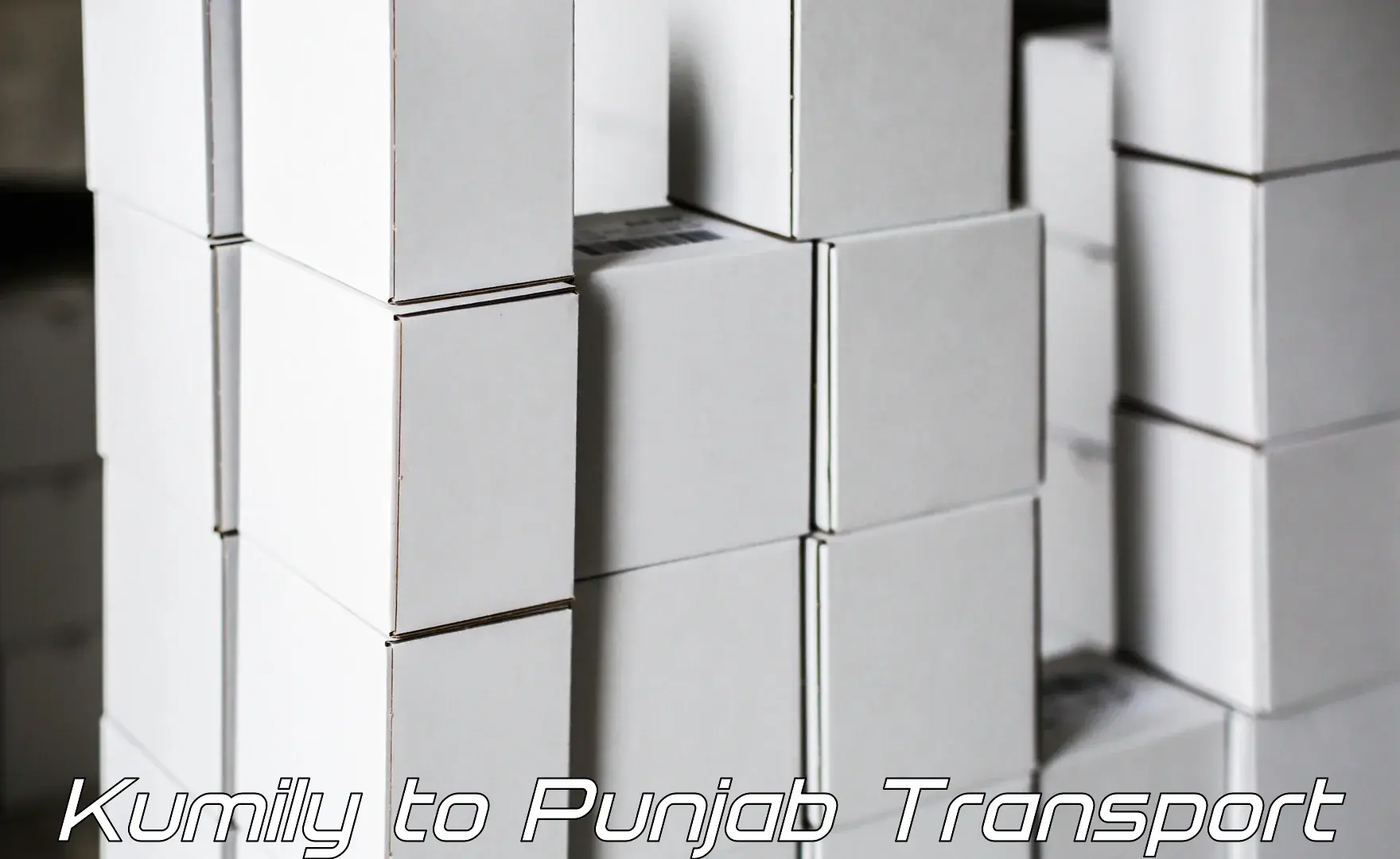 Parcel transport services Kumily to Thapar Institute of Engineering and Technology Patiala