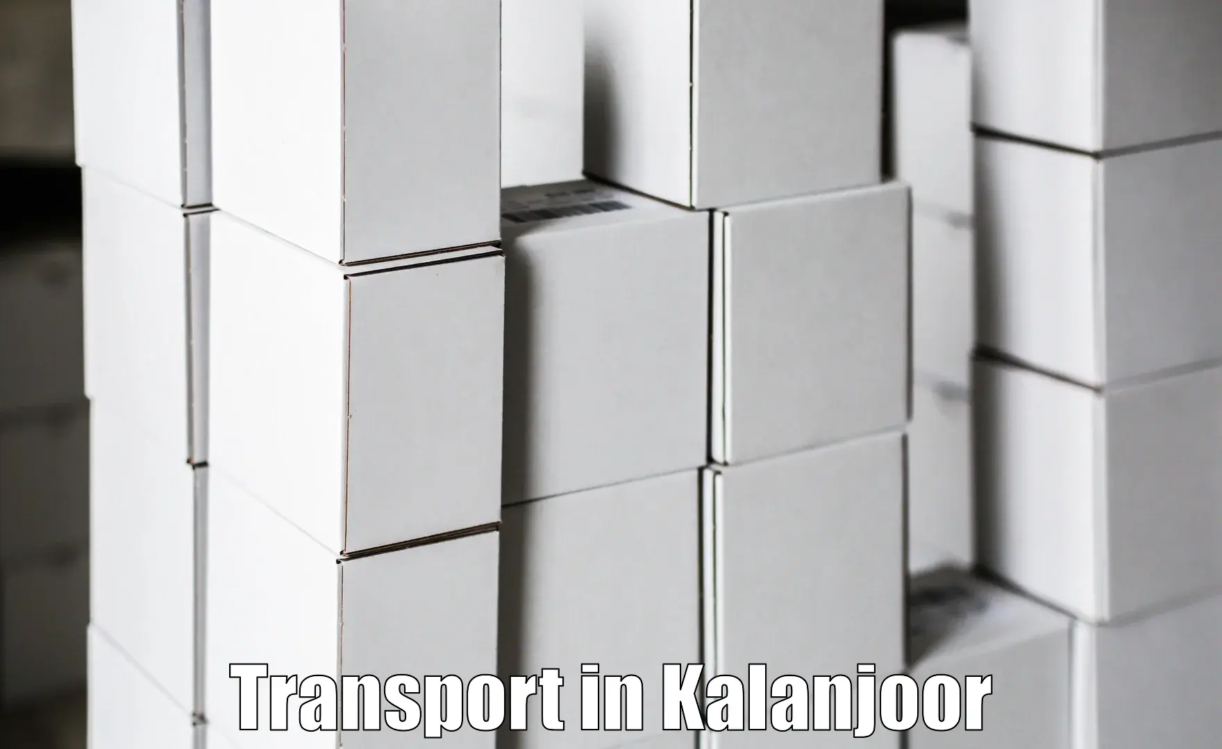 Air cargo transport services in Kalanjoor