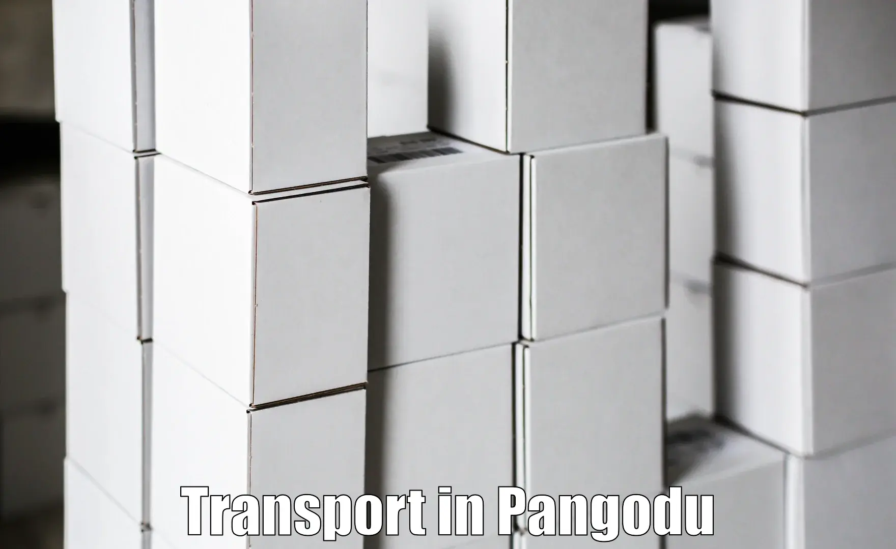 Transport shared services in Pangodu